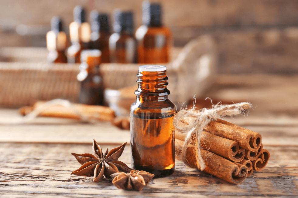 The Power of Cinnamon Essential Oil