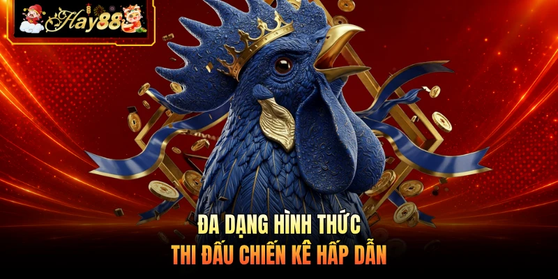Đa dạng hình thức thi đấu chiến kê hấp dẫn